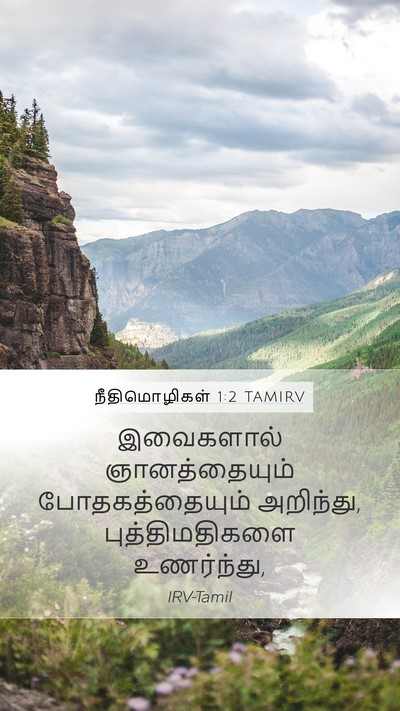 நீதிமொழிகள் 1:2 TAMIRV Bible Verse Image