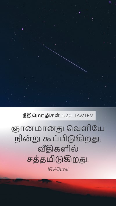 நீதிமொழிகள் 1:20 TAMIRV Bible Verse Image
