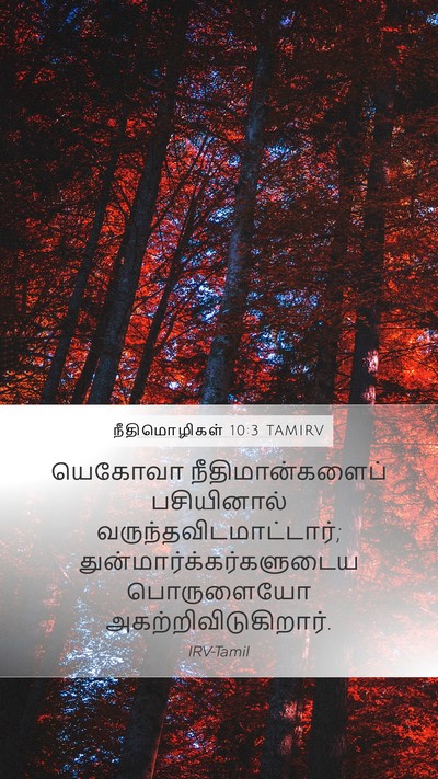 நீதிமொழிகள் 10:3 TAMIRV Bible Verse Image