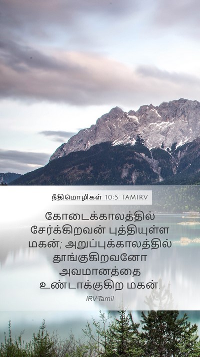 நீதிமொழிகள் 10:5 TAMIRV Bible Verse Image