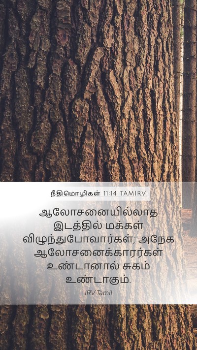 நீதிமொழிகள் 11:14 TAMIRV Bible Verse Image