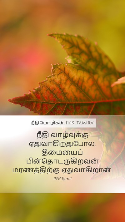 நீதிமொழிகள் 11:19 TAMIRV Bible Verse Image