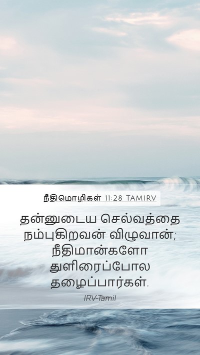 நீதிமொழிகள் 11:28 TAMIRV Bible Verse Image