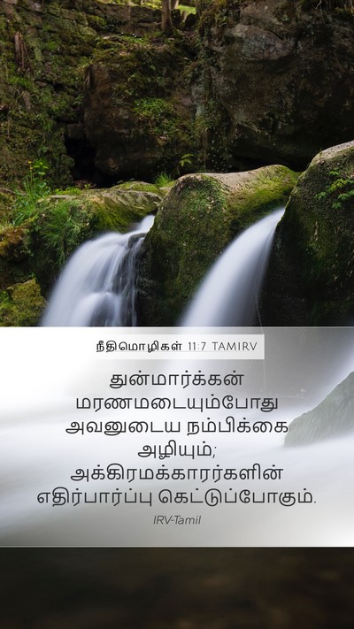நீதிமொழிகள் 11:7 TAMIRV Bible Verse Image