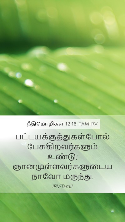 நீதிமொழிகள் 12:18 TAMIRV Bible Verse Image