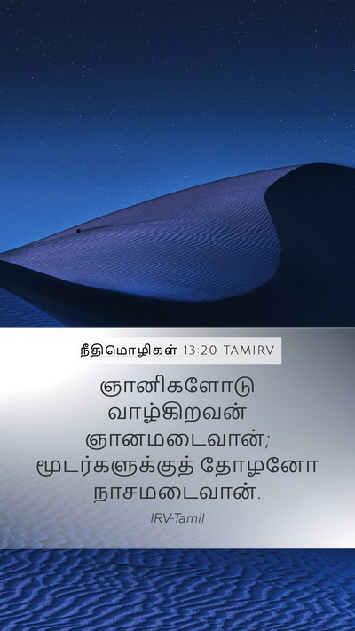 நீதிமொழிகள் 13:20 TAMIRV Bible Verse Image