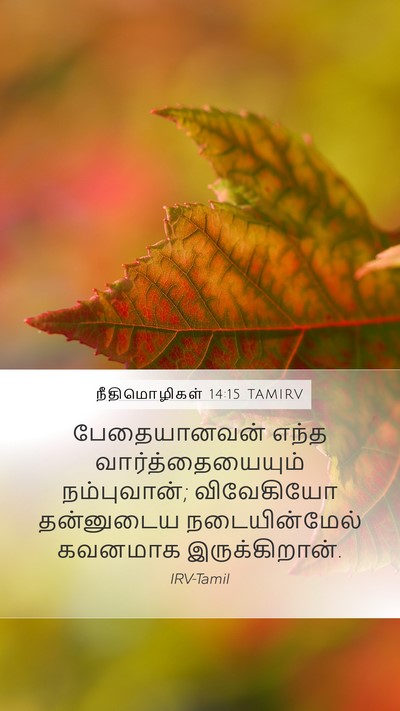 நீதிமொழிகள் 14:15 TAMIRV Bible Verse Image