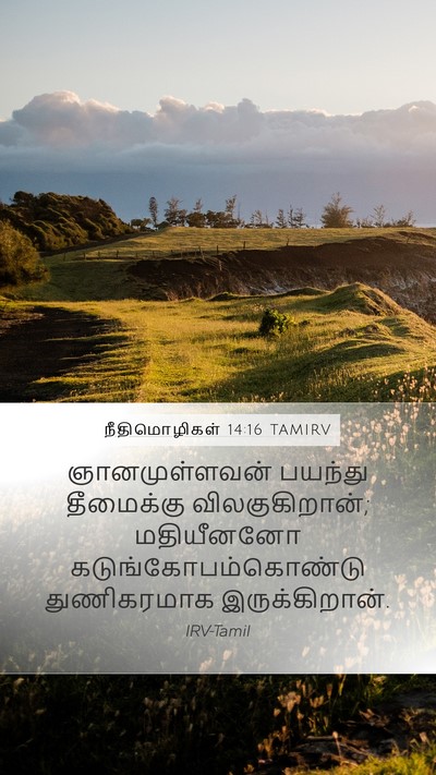 நீதிமொழிகள் 14:16 TAMIRV Bible Verse Image