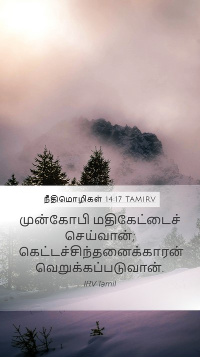 நீதிமொழிகள் 14:17 TAMIRV Bible Verse Image