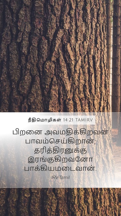 நீதிமொழிகள் 14:21 TAMIRV Bible Verse Image