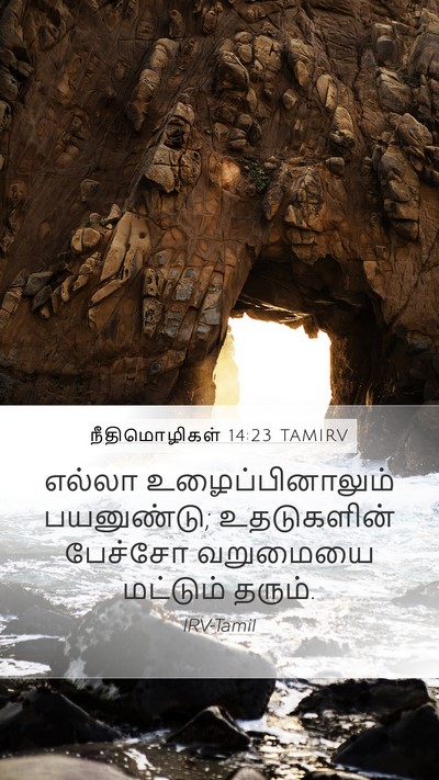 நீதிமொழிகள் 14:23 TAMIRV Bible Verse Image