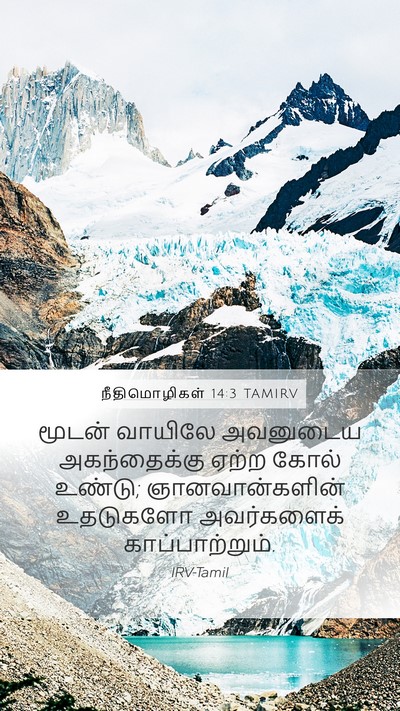 நீதிமொழிகள் 14:3 TAMIRV Bible Verse Image