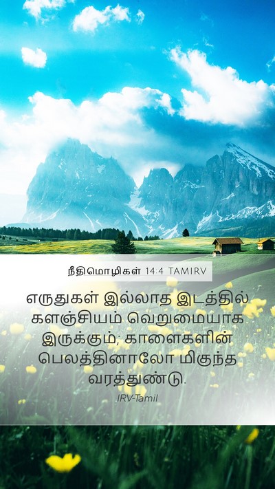 நீதிமொழிகள் 14:4 TAMIRV Mobile Phone Wallpaper - எருதுகள் இல்லாத - Mobile Bible Verse Wallpaper
