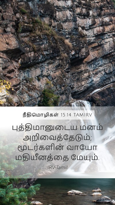 நீதிமொழிகள் 15:14 TAMIRV Bible Verse Image