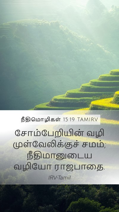 நீதிமொழிகள் 15:19 TAMIRV Bible Verse Image