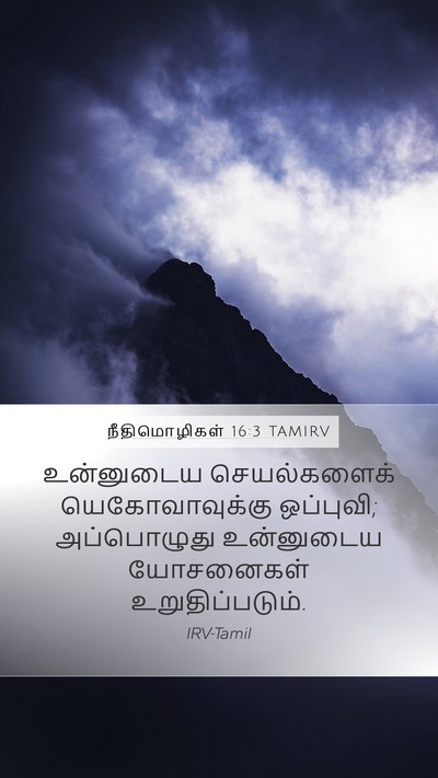 நீதிமொழிகள் 16:3 TAMIRV Bible Verse Image