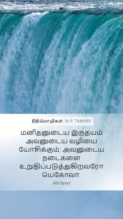 நீதிமொழிகள் 16:9 TAMIRV Bible Verse Image