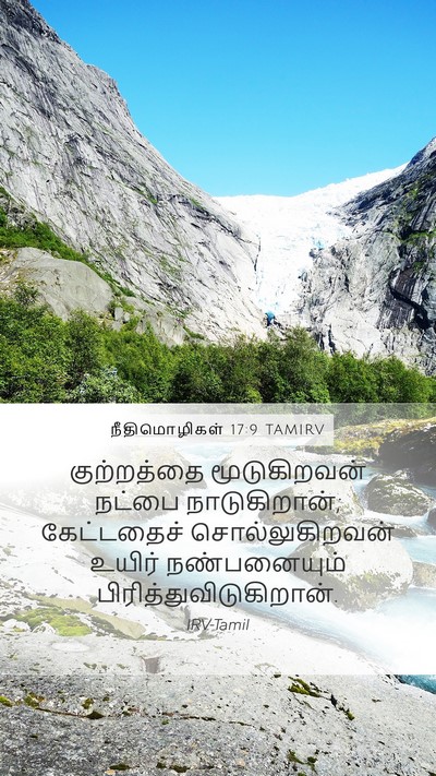 நீதிமொழிகள் 17:9 TAMIRV Bible Verse Image