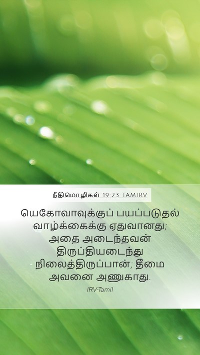 நீதிமொழிகள் 19:23 TAMIRV Bible Verse Image
