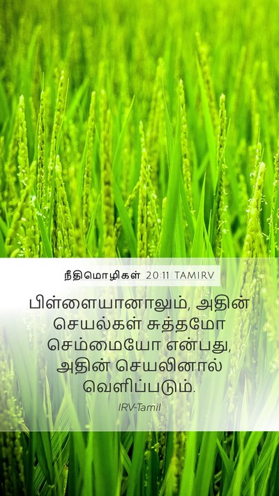 நீதிமொழிகள் 20:11 TAMIRV Bible Verse Image