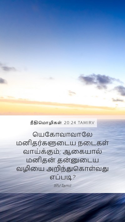 நீதிமொழிகள் 20:24 TAMIRV Bible Verse Image