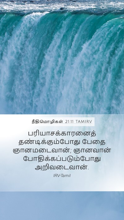நீதிமொழிகள் 21:11 TAMIRV Bible Verse Image