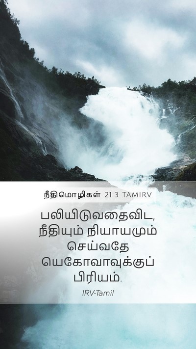 நீதிமொழிகள் 21:3 TAMIRV Bible Verse Image