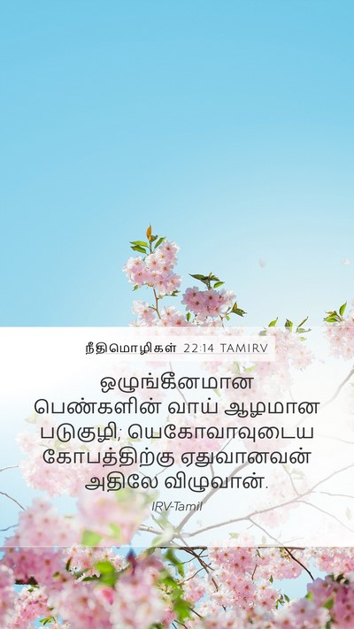 நீதிமொழிகள் 22:14 TAMIRV Bible Verse Image