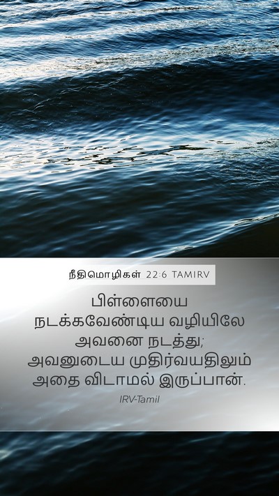 நீதிமொழிகள் 22:6 TAMIRV Bible Verse Image