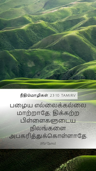 நீதிமொழிகள் 23:10 TAMIRV Bible Verse Image