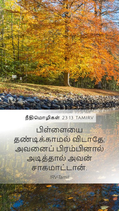 நீதிமொழிகள் 23:13 TAMIRV Bible Verse Image