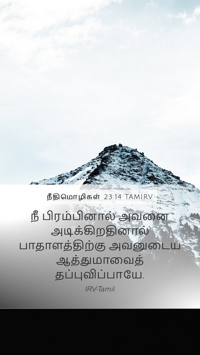 நீதிமொழிகள் 23:14 TAMIRV Bible Verse Image