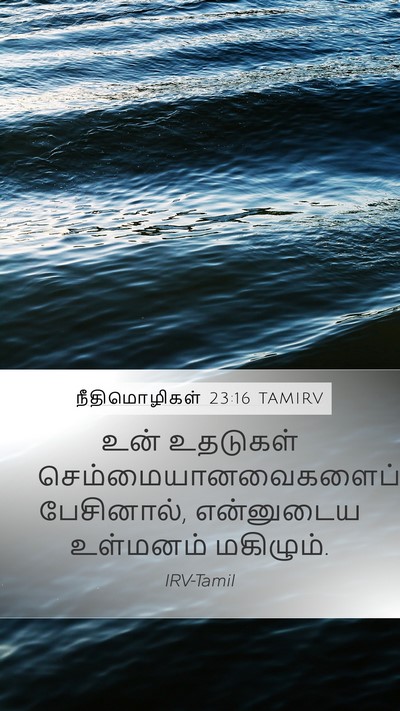 நீதிமொழிகள் 23:16 TAMIRV Bible Verse Image