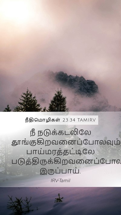 நீதிமொழிகள் 23:34 TAMIRV Mobile Phone Wallpaper - நீ நடுக்கடலிலே - Mobile Bible Verse Wallpaper