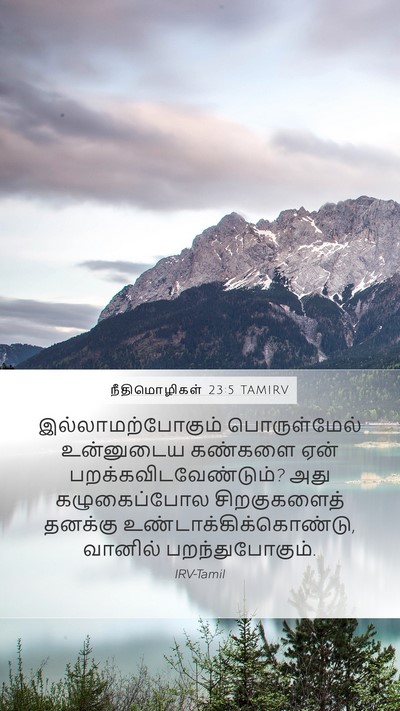 நீதிமொழிகள் 23:5 TAMIRV Bible Verse Image