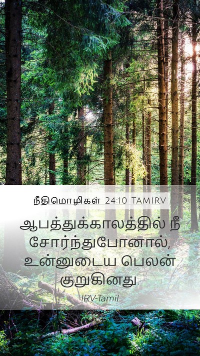 நீதிமொழிகள் 24:10 TAMIRV Bible Verse Image