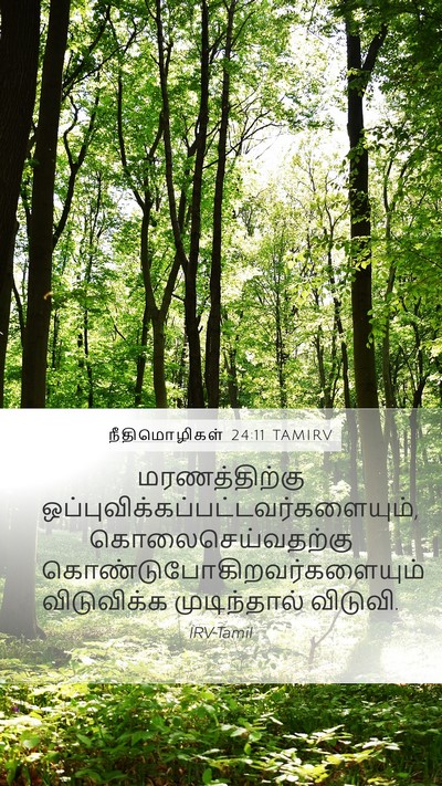 நீதிமொழிகள் 24:11 TAMIRV Bible Verse Image