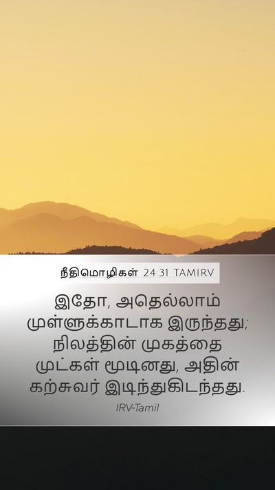 நீதிமொழிகள் 24:31 TAMIRV Mobile Phone Wallpaper - இதோ, அதெல்லாம் - Mobile Bible Verse Wallpaper