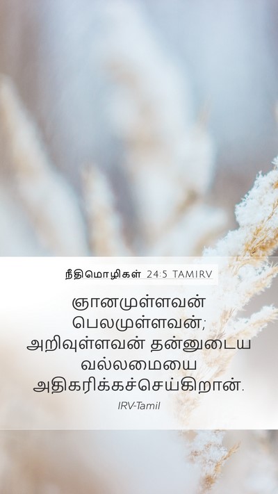 நீதிமொழிகள் 24:5 TAMIRV Mobile Phone Wallpaper - ஞானமுள்ளவன் - Mobile Bible Verse Wallpaper