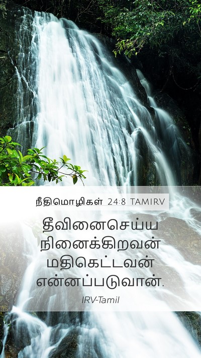 நீதிமொழிகள் 24:8 TAMIRV Mobile Phone Wallpaper - தீவினைசெய்ய - Mobile Bible Verse Wallpaper