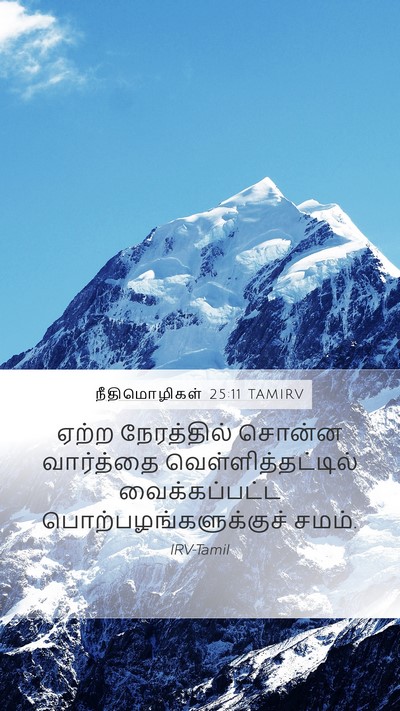 நீதிமொழிகள் 25:11 TAMIRV Bible Verse Image