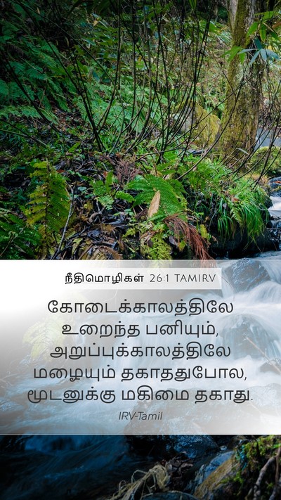 நீதிமொழிகள் 26:1 TAMIRV Mobile Phone Wallpaper - கோடைக்காலத்திலே - Mobile Bible Verse Wallpaper