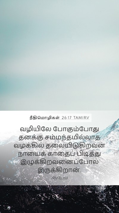 நீதிமொழிகள் 26:17 TAMIRV Bible Verse Image