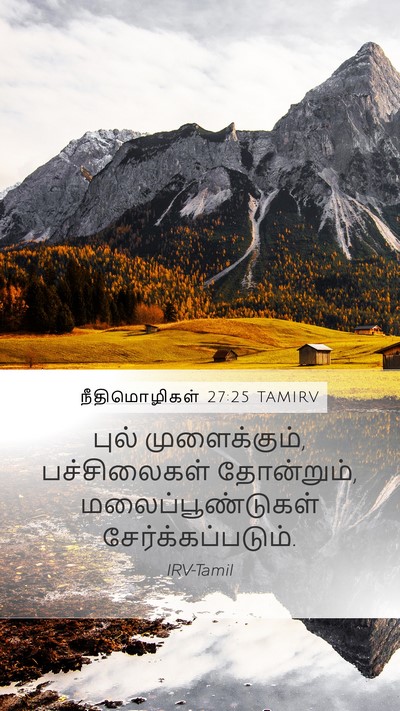 நீதிமொழிகள் 27:25 TAMIRV Mobile Phone Wallpaper - புல் முளைக்கும், - Mobile Bible Verse Wallpaper