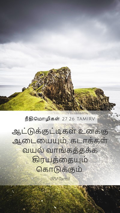 நீதிமொழிகள் 27:26 TAMIRV Mobile Phone Wallpaper - ஆட்டுக்குட்டிகள் - Mobile Bible Verse Wallpaper