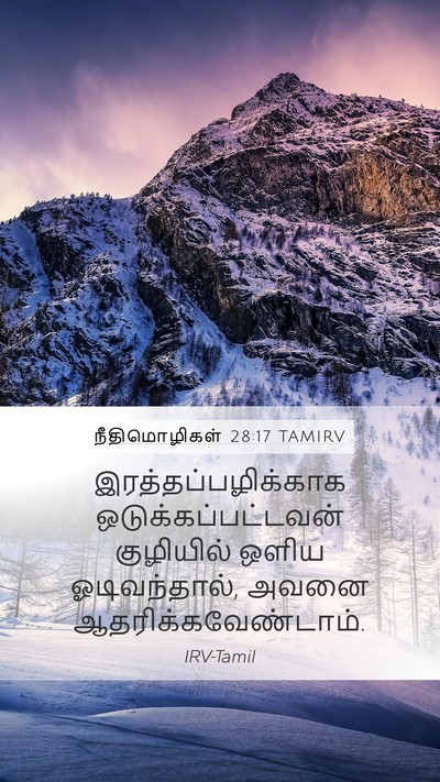 நீதிமொழிகள் 28:17 TAMIRV Bible Verse Image