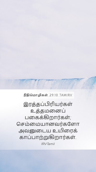 நீதிமொழிகள் 29:10 TAMIRV Bible Verse Image