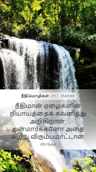 நீதிமொழிகள் 29:7 TAMIRV Bible Verse Image