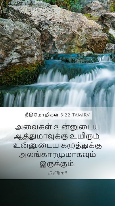 நீதிமொழிகள் 3:22 TAMIRV Bible Verse Image