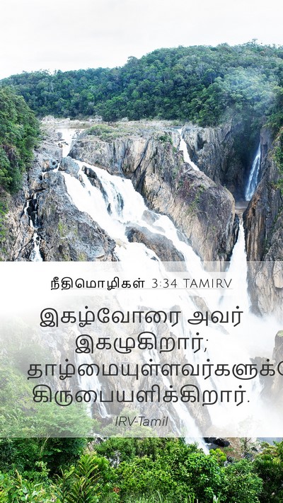 நீதிமொழிகள் 3:34 TAMIRV Bible Verse Image